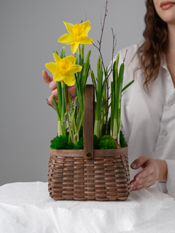 Лесная полянка