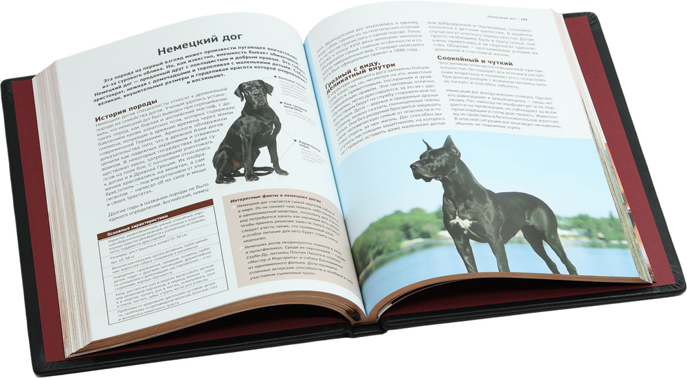 Все породы собак