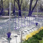 Канатный парк из 8 маршрутов