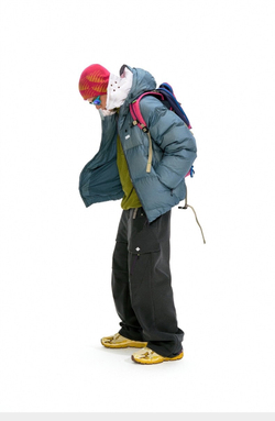 Брюки Nothomme Padded soft-shell gray