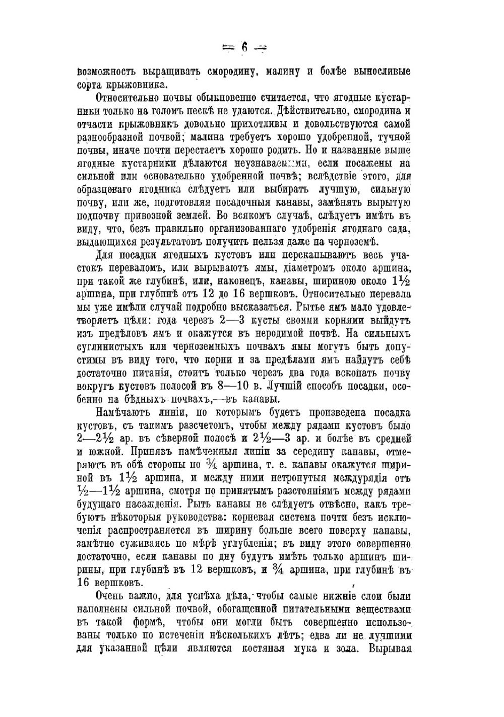 Ягодные кустарники | Штейнберг Павел Николаевич