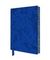 Bloknot \ Блокнот \ Notebook Vincent van Gogh: Irises Artisan Art Notebook (Flame Tree Journals)