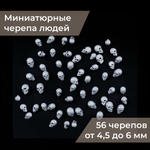56 миниатюрных черепов людей