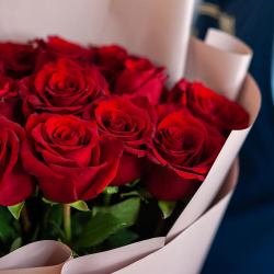 Букет из 15 роз Эквадор в упаковке