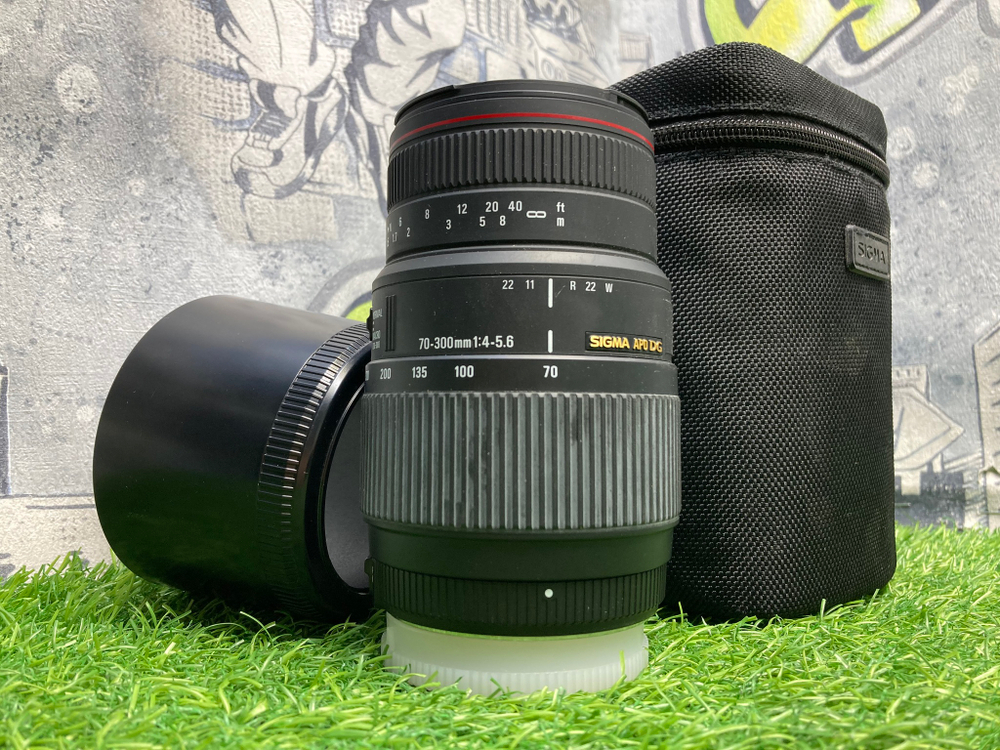 Sigma AF 70-300mm 4-5.6 APO Macro DG Nikon F