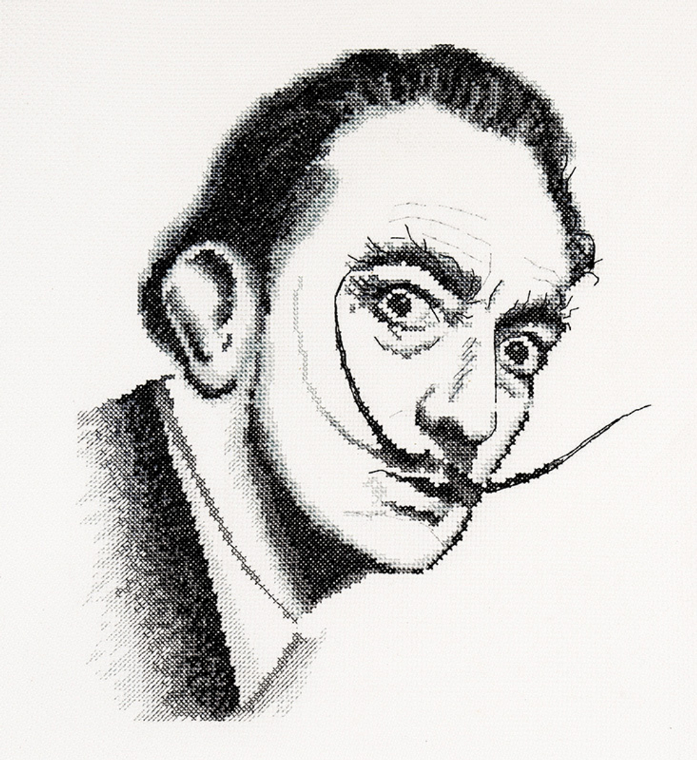 Набор для вышивания "Дали", 25 x 27 см (Россия)