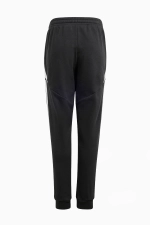 Штаны adidas Tiro 24 Sweat Junior - черный