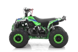 Квадроцикл MOTAX GRIZLIK A110