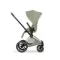 Детская коляска Cybex Priam V Style 2 в 1 Sage Green