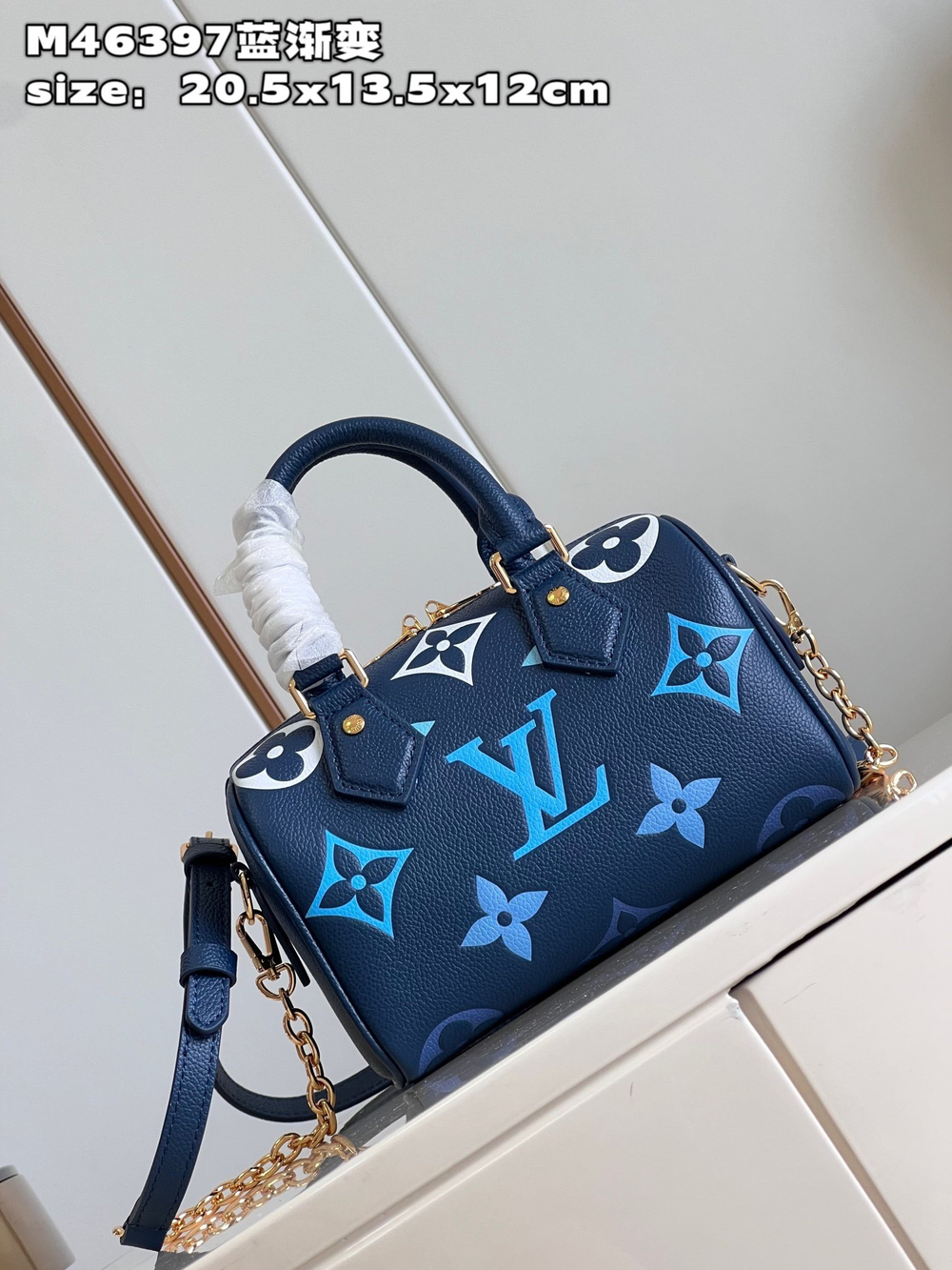 Louis Vuitton Speedy 20