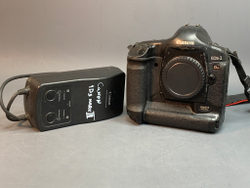 Canon EOS 1Ds Mark II body, 146.042 кадров