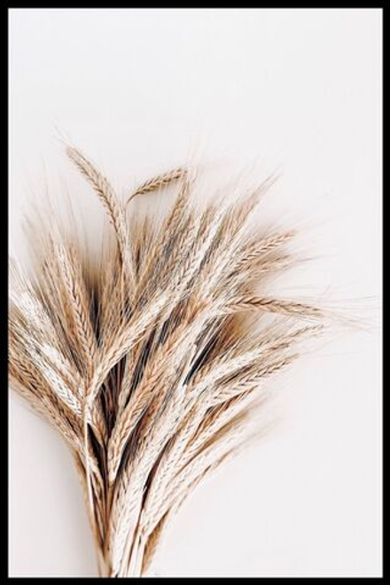 Интерьерная картина в технике цифровой печати. АРТ 009 Сухоцветы