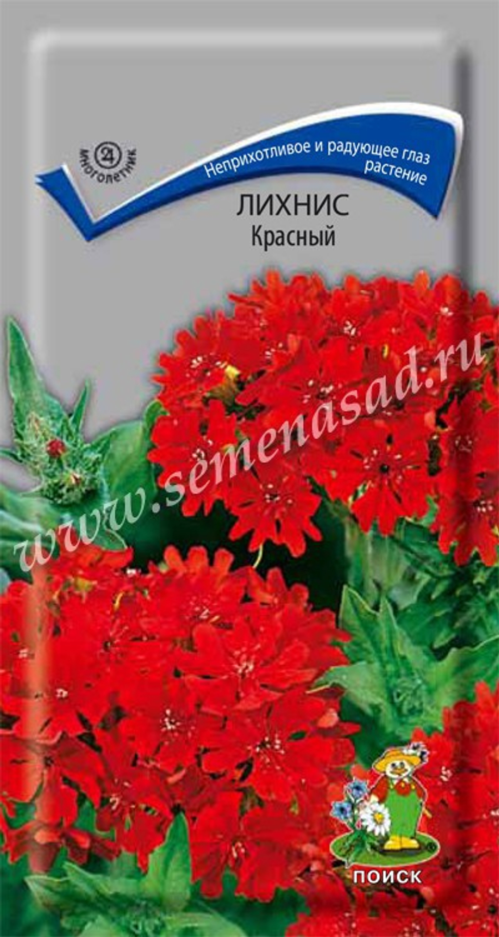 Лихнис Красный 0,1г Ц Поиск