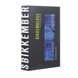 Мужские трусы брифы (синий) набор 2 в 1 Bikkembergs BKK1USP15BI