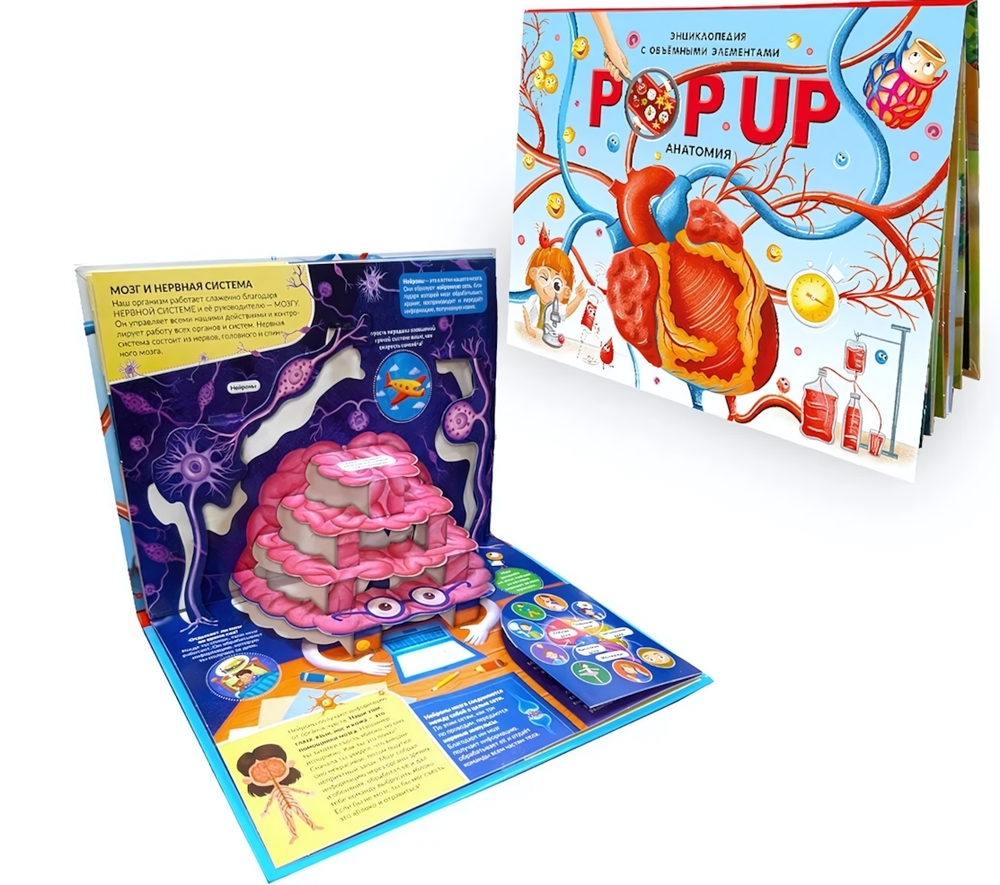Книжка-панорамка. Энциклопедия POP UP "Анатомия" (Malamalama)