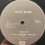 Kate Bush ‎– Hounds Of Love (Англия 1986г.) 12", 45 RPM