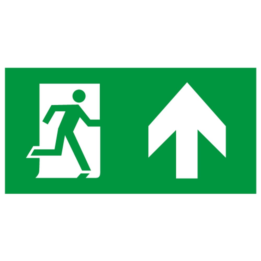 Пиктограмма ЭРА INFO-SSA-127 бэклит 259x128мм Человек-стрелка-вверх зеленая SSA-103 | Наклейки для светильников (знаки безопасности)