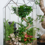 Готовый флорариум бонсай Лигуструм Ботанический сад XL 45см Будда с водопадом