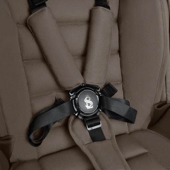 Коляска 2 в 1 SBL Dolce Dark Beige