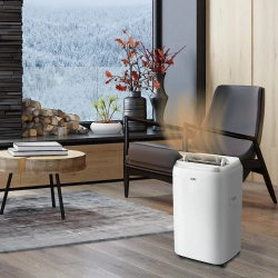 Ballu BPHS-13H мобильный кондиционер НС-1185830