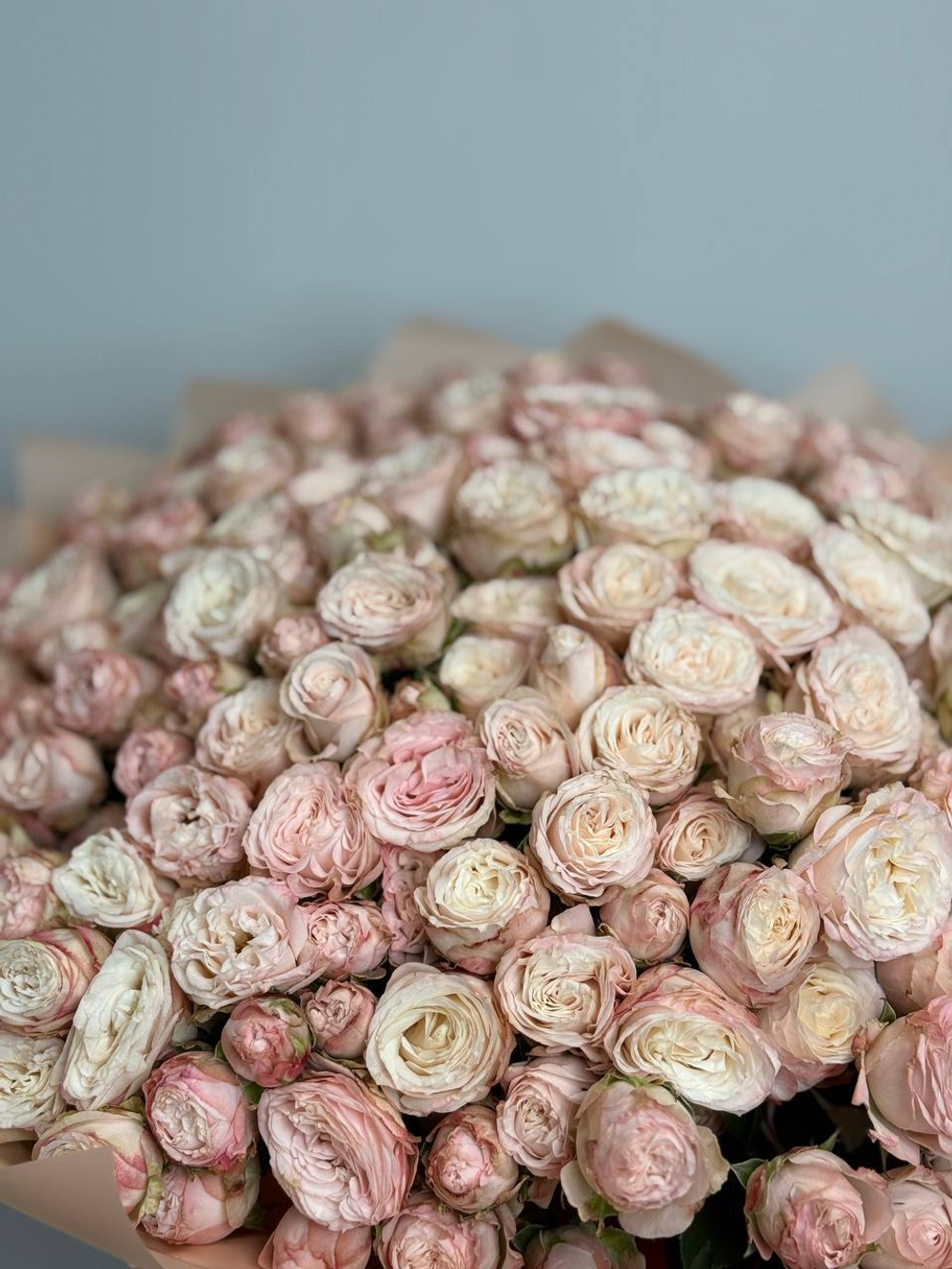 Розовые мечты