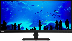 Монитор 34" Lenovo ThinkVision T34w-20 (61F3GAT1EU)