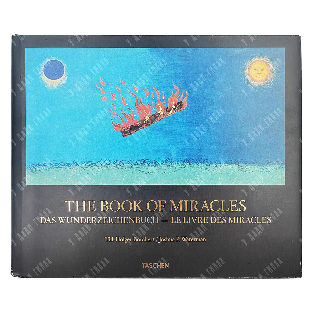 Борхет, Т.Х., Ватерман Д. Книга чудес. [The Book of Miracles. Das Wunderzeichenbuch...], 2022