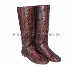 Сапоги из кожи питона SH-105