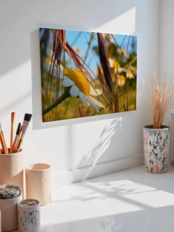 Картина на стену 40 X 50 Ромашки