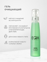 EGIA Гель очищающий Cleansing Wash Cleansing Wash 200 мл