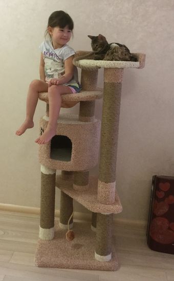 Домик для кота И-86