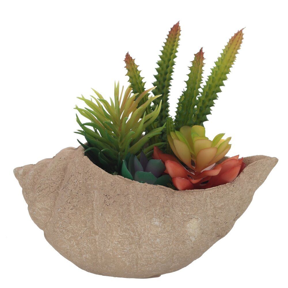 GAEM Цветочная композиция "Суккуленты", L20 W10 H16 см