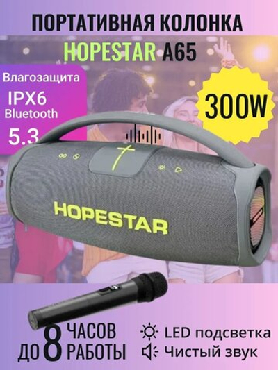 Портативная колонка HOPESTAR A65 300 Вт