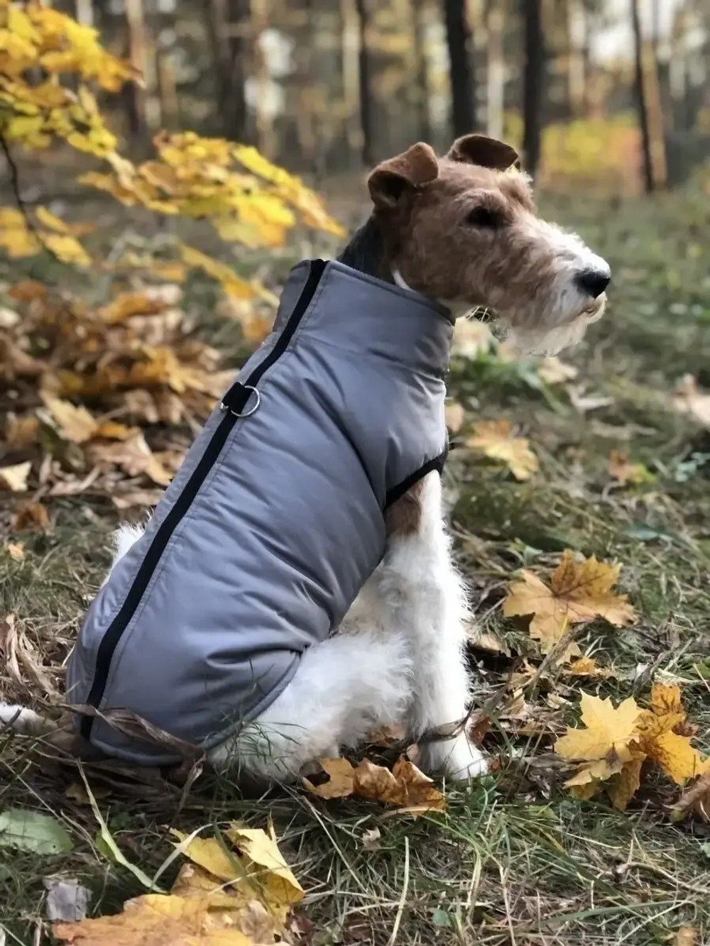 Жилет для собак мелких и средних пород зимний