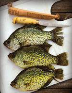 Нож туристический филейный Fish n Fillet FNF6