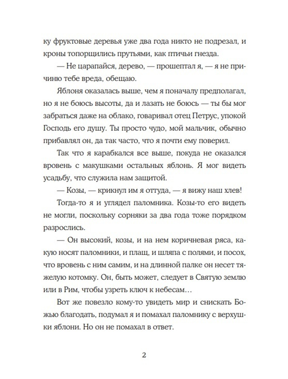 Мальчик и его книга