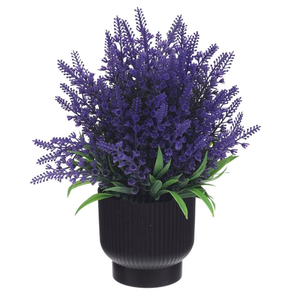 GAEM Цветочная композиция, L17 W10 H26 см