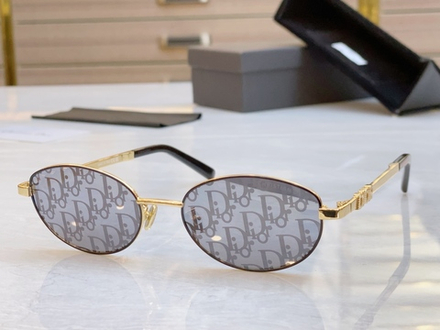 Christian Dior Glasses