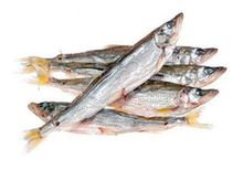 Корюшка Дальневосточная зубатка вяленая, 500г Корюшка Дальневосточная зубатка вяленая, 500г