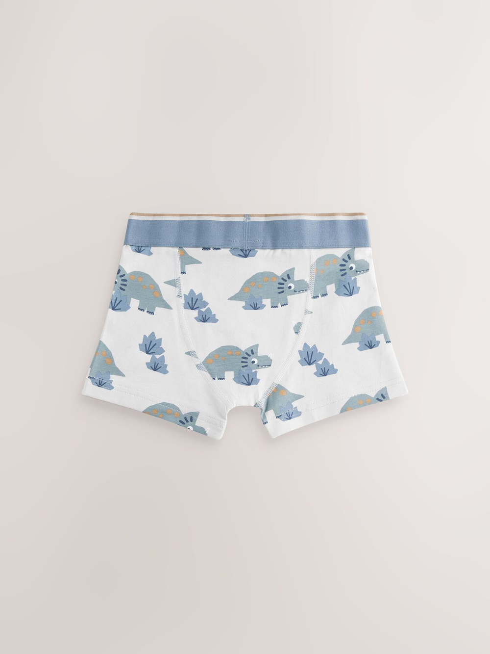 Трусы для мальчика Next E98-868, 5 шт., Голубой, Белый