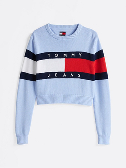 Джемпер женский TOMMY JEANS TJW CENTER FLAG SWEA