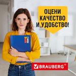 Папка на резинках BRAUBERG "Business" А4 13 отделений пластиковый индекс синий 0 5 мм (3 штуки в упаковке)
