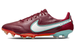 Кроссовки Nike Legend 9 Elite Fg