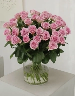 Розовые розы "Revival"