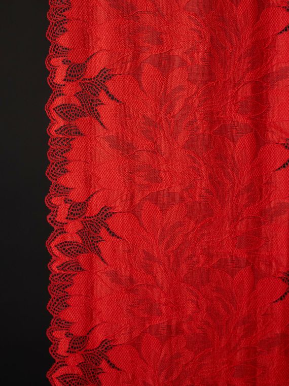 03-77 ОПТ Кружево эластичное 24 см, алый красный (однотон)