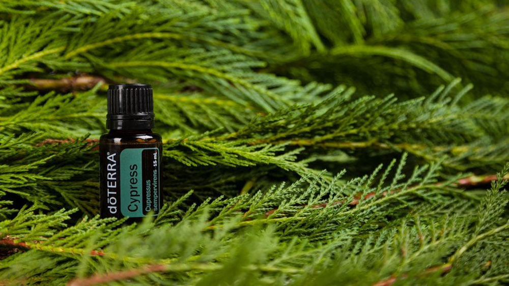 Эфирное масло doTERRA Кипарис, Cypress, 15 мл