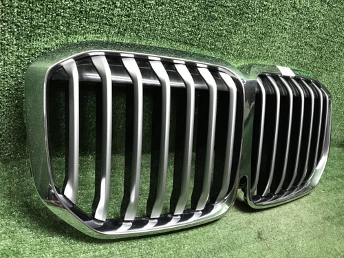 Решетка радиатора BMW X7 G07 (2019-2022)