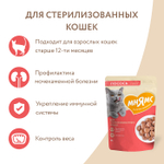 Влажный корм для стерилизованных кошек Мнямс на каждый день кусочки в соусе с лососем 85г 24 шт