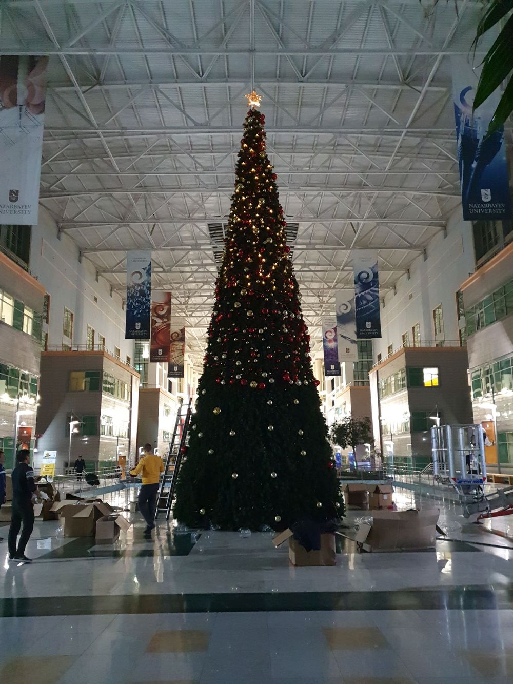 Уличная елка каркасная «Аврора» ED (пвх) от 8 м до 20,5 м