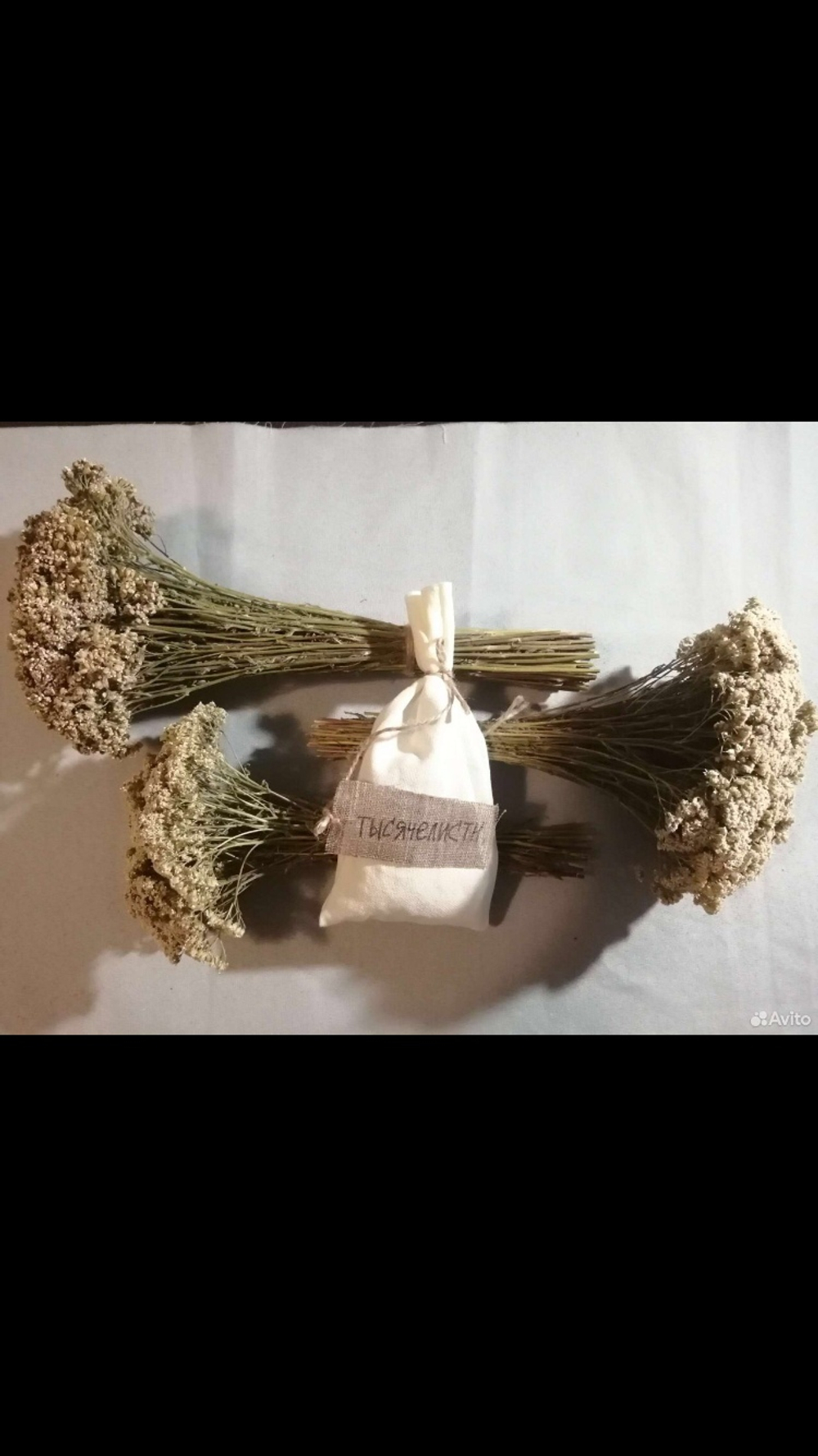 Тысячилистник (пучек)